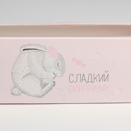 Box for Makarun, confectionery packaging "Sweet Surprise", 5.5 x 18 x 5.5 cm-2