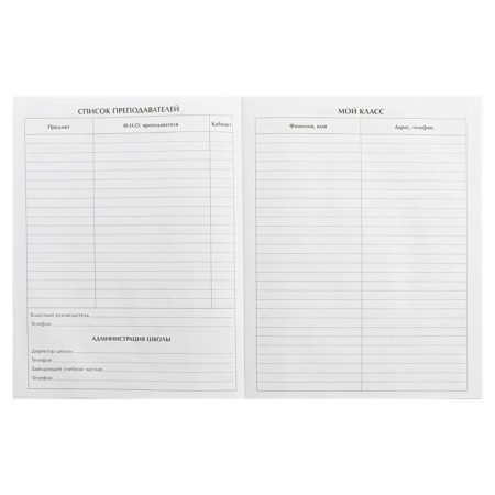 Diary for grades 5-11, "Speed ​​Zone", solid cover 7BC, matte lamination, selective varnish, 48 sheets-4