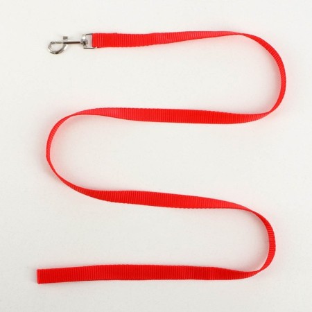 Set "Basis", leash 120 x 1.5 cm, OG 32-46 cm, red-3