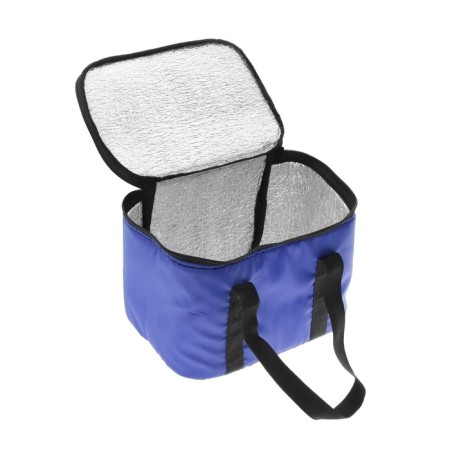 Thermal mosque Cartage T-08, blue, 10 l, 26x19x19 cm-2