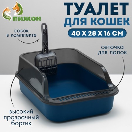 Toilet with transparent sides with a scoop and filter, 40 x 28 x 16 cm, blue
