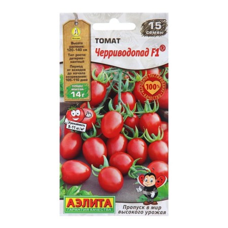 Seed Tomat Chernirivodopad F1 OR. And p the world of high harvest centers 15pcs