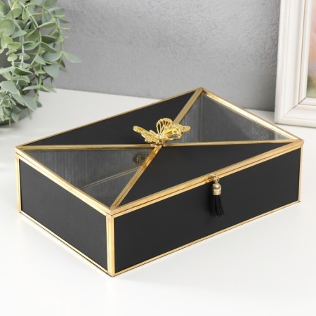 Casket glass, leatherette with a metal frame "Butterfly" black 24x16.5x8 cm