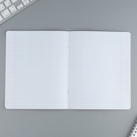 Notebook in a cage 24 sheet A5, on the paper clip “September 1: colored covers”, covered cardboard, 5 types of mix-2