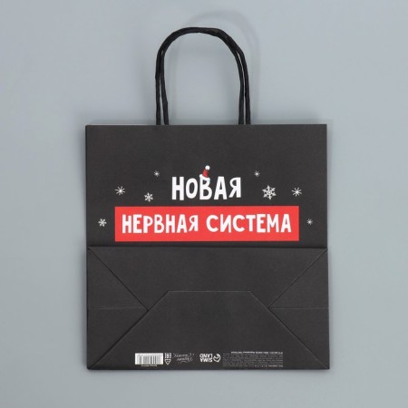 Package gift craft "Nerves", 22 x 22 x 11 cm, new year-7