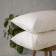 Set of pillowcases "era", size 70x70 cm, ivory color, 2 pcs