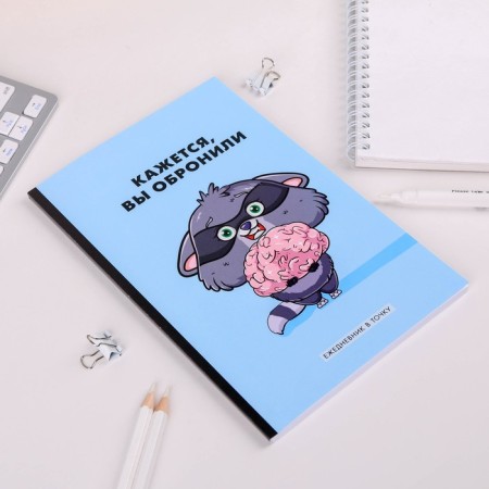 Diary to the point "Sweet Raccoon", A5, 64 sheets-1