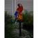 Garden lamp on the sunny battery "Red Ara", 45 cm, 1 LED, glow warm white
