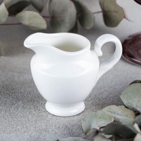 Porcelain porcelain Wilmax, 100 ml, white color