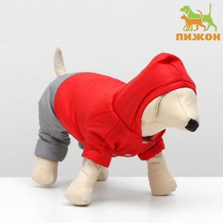 Zimovye jumpsuit for animals "duet", XS (DS 18-20, Osh 24, OG 27-30 cm), red-gray