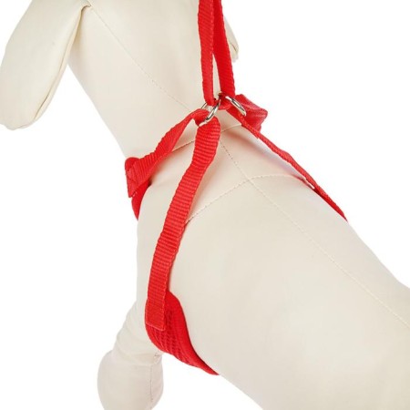 The train is adjustable breathing, reflective, size S (Osh 14-30; og 20-40 cm), red-1