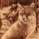 Board from the massif “Fox”, large, rectangular, 23 × 35 cm No. 35