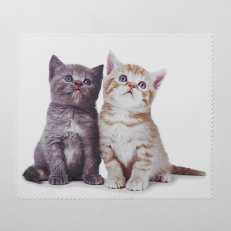 TAO41 kittens "Kittens", 15 × 18cm, beige color-1