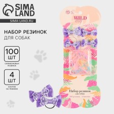 Set of gum for dogs Wild Dog