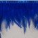 Braid with feathers of a rooster, 10-15 cm, 5 ± 0.5 m, blue color