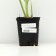 Iris false -airovid (swamp), P9 pot, 1 pc, spring 2024