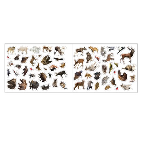 A set of books of 100 stickers "Study animals", 3 pcs. 12 p.-4