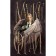 Winds, angels and people. Max Fry