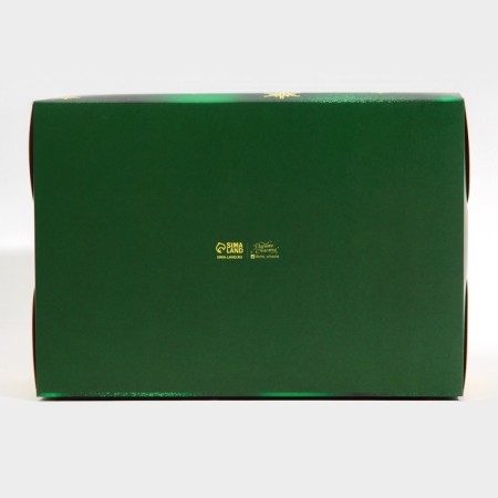Green Participer Capcake box, 23 x 16 x 10 cm, New Year-5