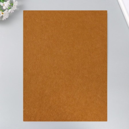 Fetr 1 mm "coffee with cream" set 4 sheets 30x40 cm-3