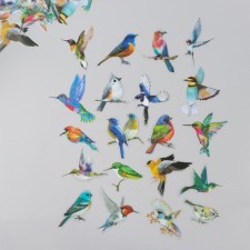 Stickers for creativity PLC PVC 