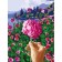 Diamond mosaic with a complete filling on the subframe "Flower in hand", 20 × 30 cm