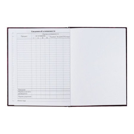 Universal diary for grades 1-11, Smile 2, solid cover 7BC, glossy lamination, 40 sheets-9