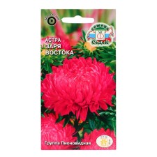 Flowers of Astra 