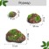 Artificial “Stones” moss, with bark, set 6 pcs., Greengo