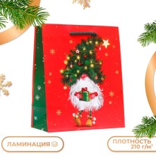 Gift package 