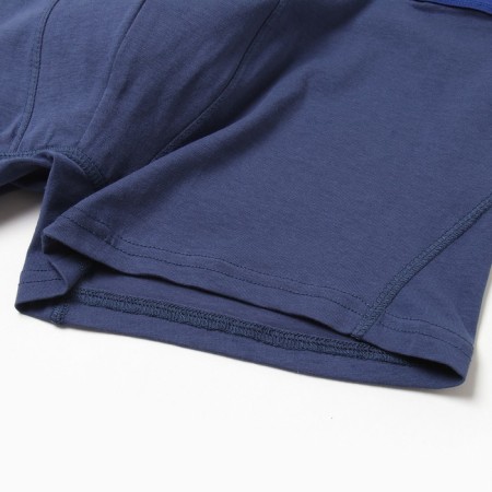 Panties men's boxers, blue color, size 50-1