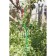 Builder for flowers, d = 20 cm, h = 120 cm, leg d = 1 cm, metal, green