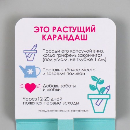 Growing gift pencils Mini "Mint"-2