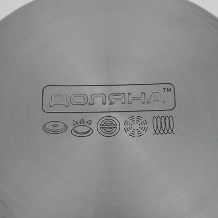 Grette stainless steel pan, 4.2 l, d = 22 cm, with a lid, the capsule, induction-6