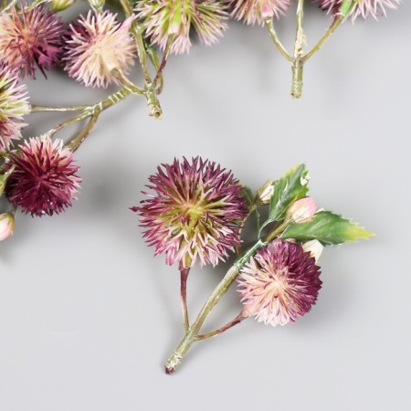 Flowers for decorating "echinops with berries" raspberry 8 cm-1
