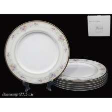 Set of lenardi plates 