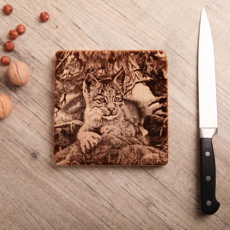 Board from the massif “Lynx”, square, 18 × 18 cm