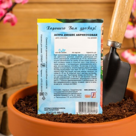 Seeds of flowers Astra Pionovid "Apricot", 0.2 g-3