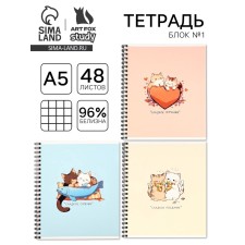 Тетрадь А5, 48 л на спирали,  внутренний блок №1 МИКС «Аниме котики»