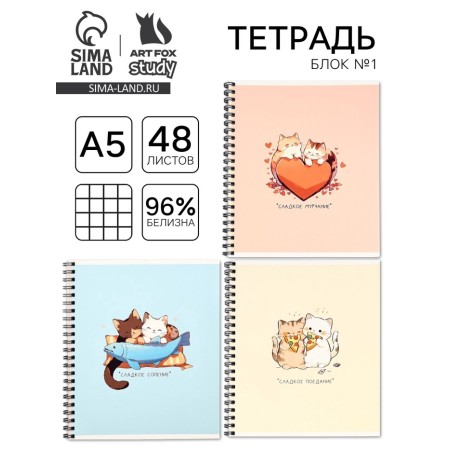 Notebook A5, 48 liters per spiral, internal block No. 1 MIX "Anime Kotiki"