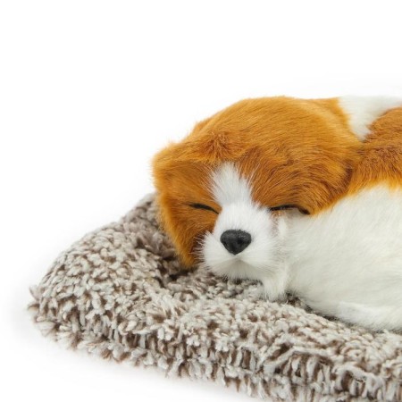 A toy on a car panel, a dog on a pillow, a white-red color-4