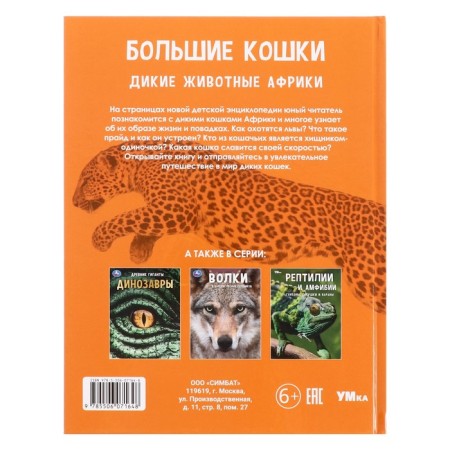 Encyclopedia "Big Cats. Africa wild animals ", 48 pages-1