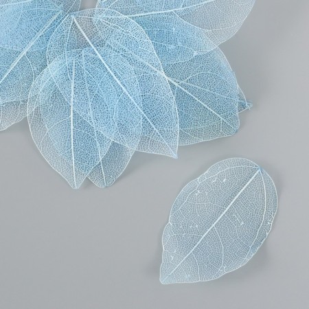 Leaves skeletoned for creativity are "pale blue" set of 20 pcs h = 6-6.5 cm-1