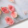 Photophone bilateral paper 300 grams "Roses and chamomile" 57x87 cm