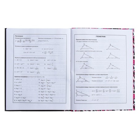 Universal Diary Grade 1-11, 48 sheets "Glamorous mouse", integral cover, glossy lamination, offset block-10