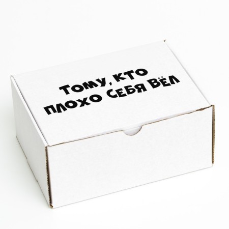 Self -assembly box "who behaved badly", 22 x 16.5 x 10 cm