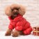 Kombinson "Shine", size M (DS 30 cm, og 40, Osh 27 cm, up to 7 kg), red