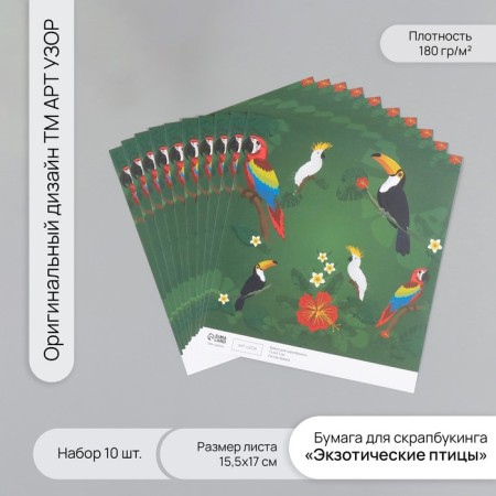 Scrapbooking paper "Exotic birds" density 180 grams set 10 pcs 15.5x17 cm