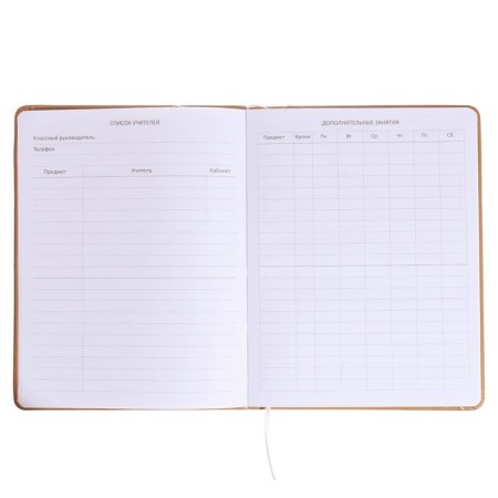 Universal diary for grades 1-11, hard cover, artificial leather, foam rubber, silkography, liesse, 80 g/m2-5