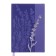 Set gift Escalada Diary A5 120 sheets, soft cover of artificial leather, foil embossing, pancake embossing, block 70 g/m2, lilac + pen + pen.